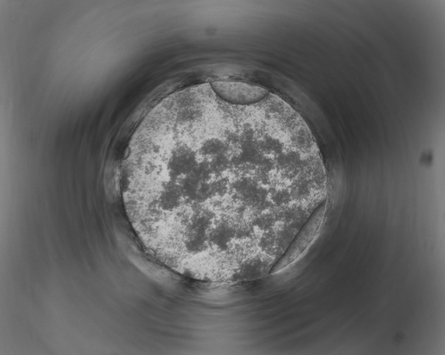 X0000115650191200912221339