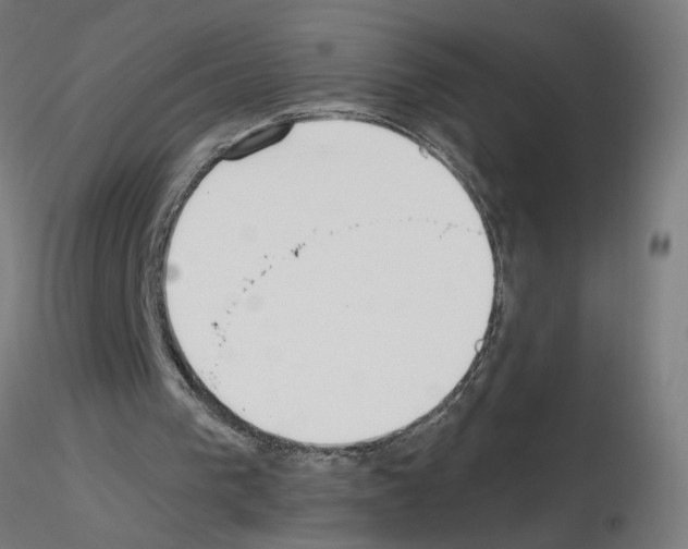 X0000115650193200912221338