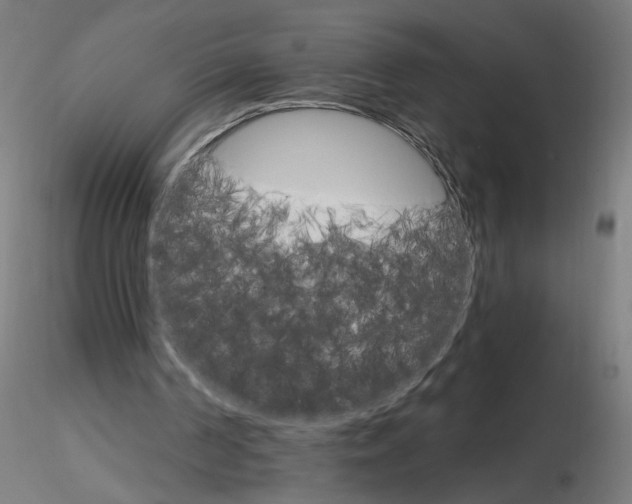 X0000115650194200912221338