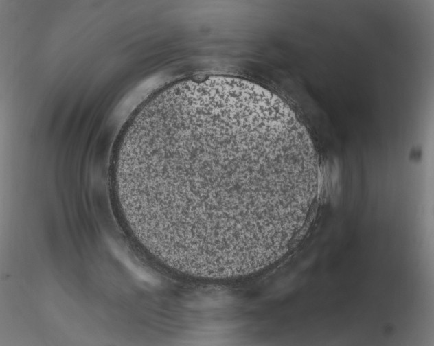 X0000115650195200912221338