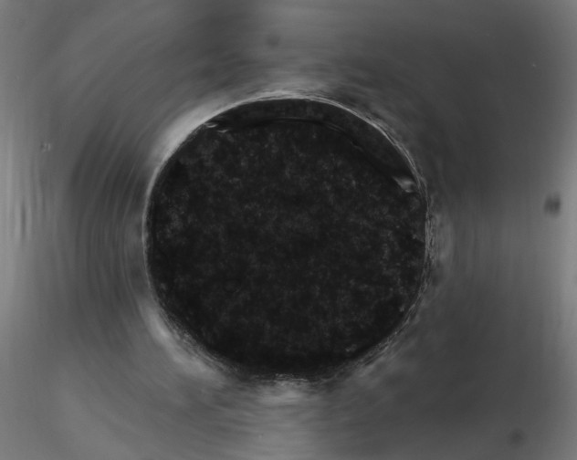 X0000115650196200912221338