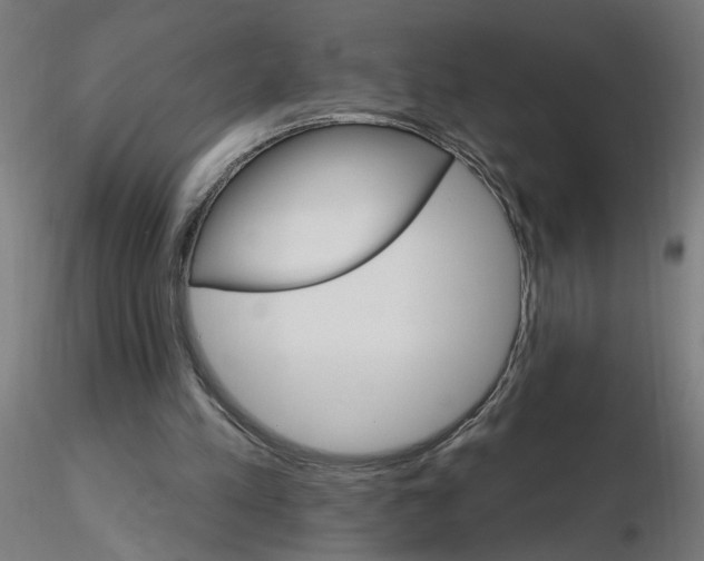 X0000115650197200912221338