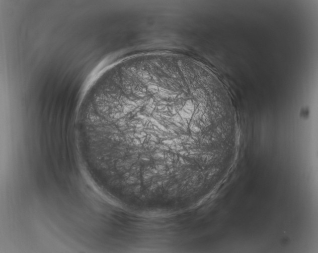 X0000115650198200912221338