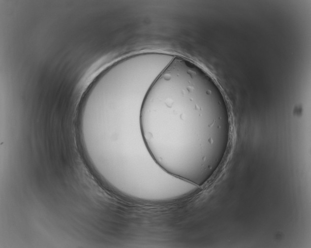 X0000115650199200912221338