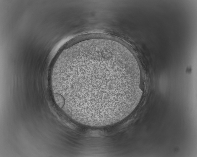 X0000115650200200912221338