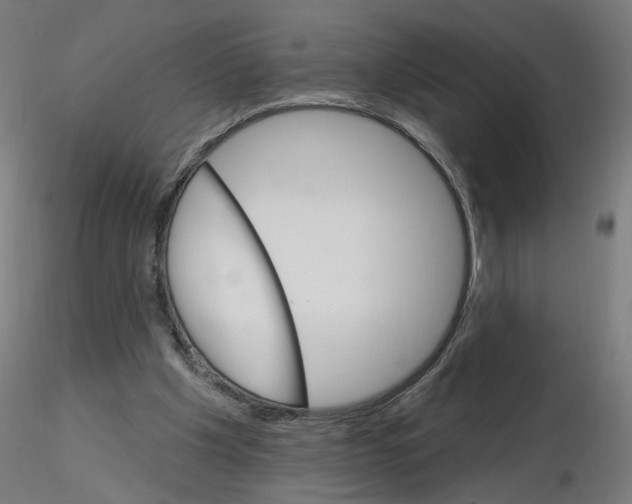 X0000115650201200912221338