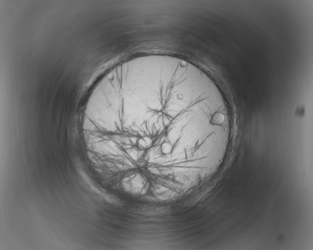 X0000115650202200912221338