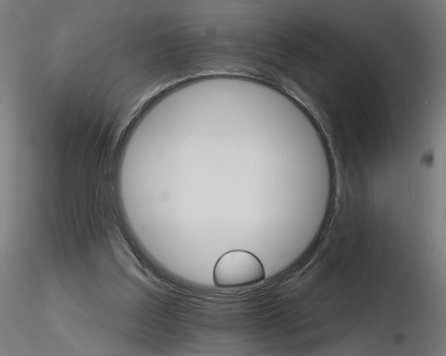 X0000115650203200912221338