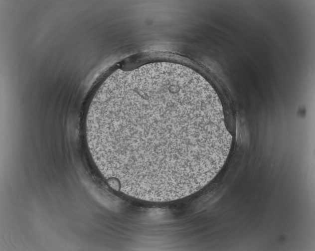 X0000115650204200912221338