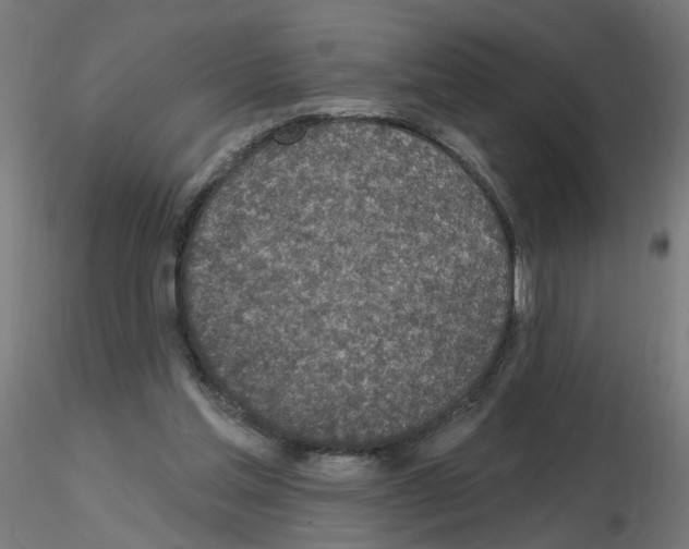 X0000115650205200912221338