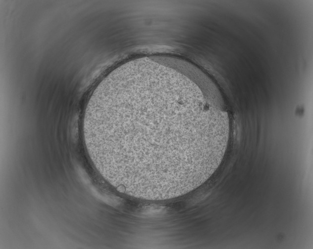 X0000115650206200912221338