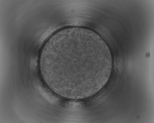 X0000115650208200912221338