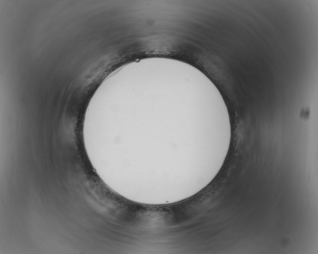 X0000115650209200912221338