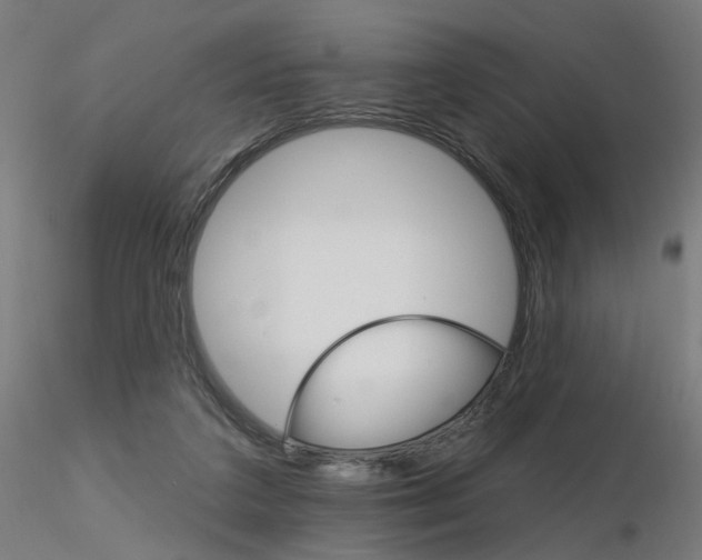 X0000115650211200912221338