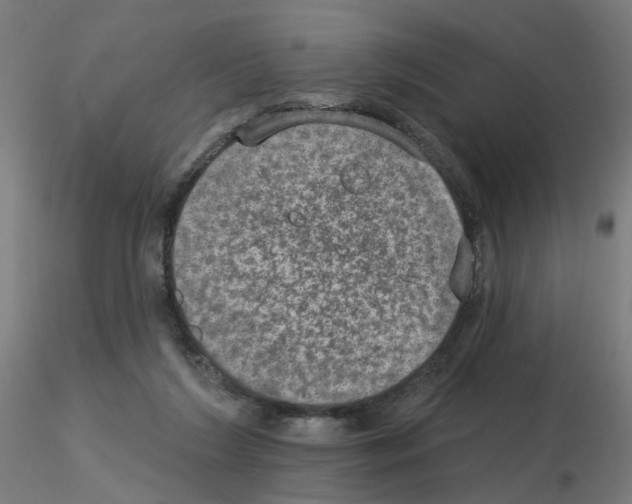 X0000115650212200912221338