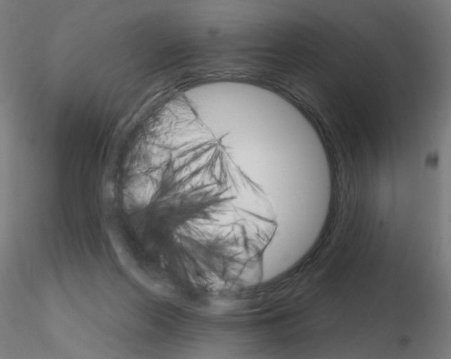 X0000115650214200912221338