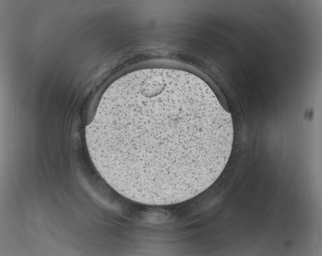 X0000115650215200912221338