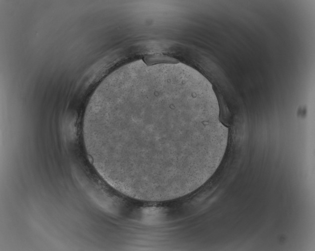 X0000115650216200912221338