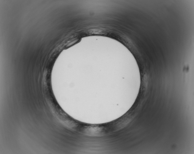 X0000115650217200912221338