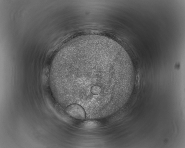 X0000115650218200912221338
