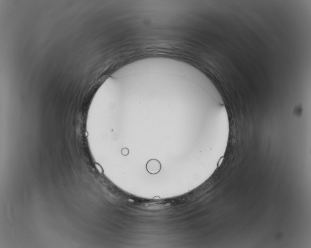 X0000115650219200912221338