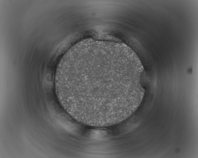 X0000115650220200912221338