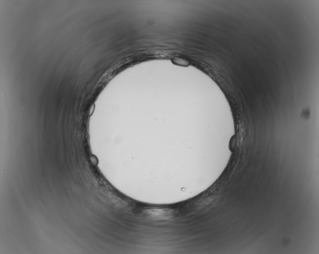 X0000115650221200912221338