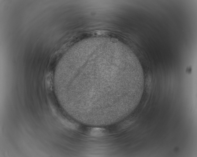 X0000115650222200912221338