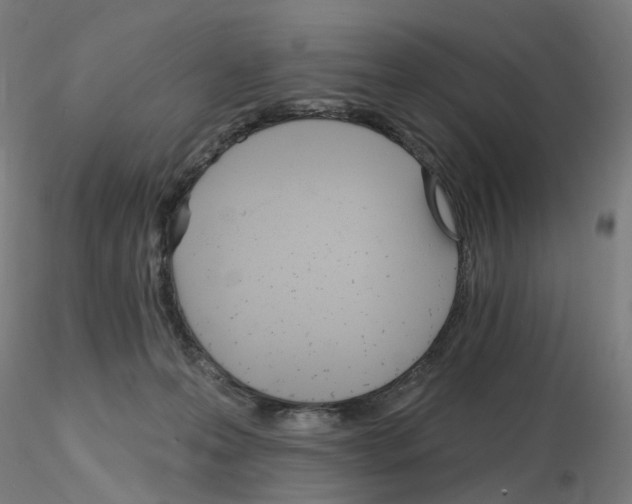 X0000115650223200912221338