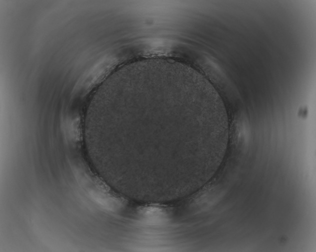 X0000115650224200912221338
