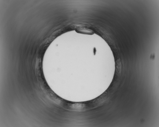 X0000115650225200912221338