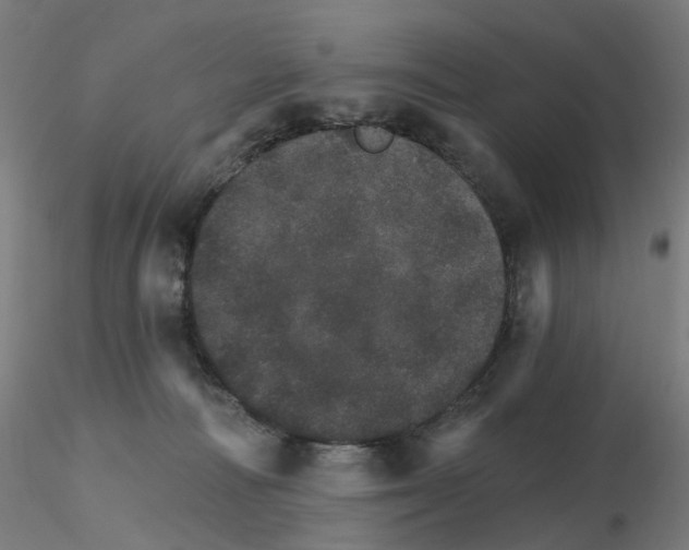 X0000115650226200912221338