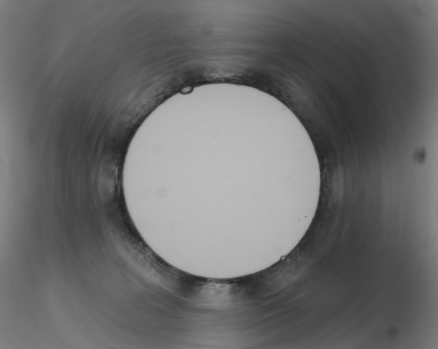 X0000115650227200912221338