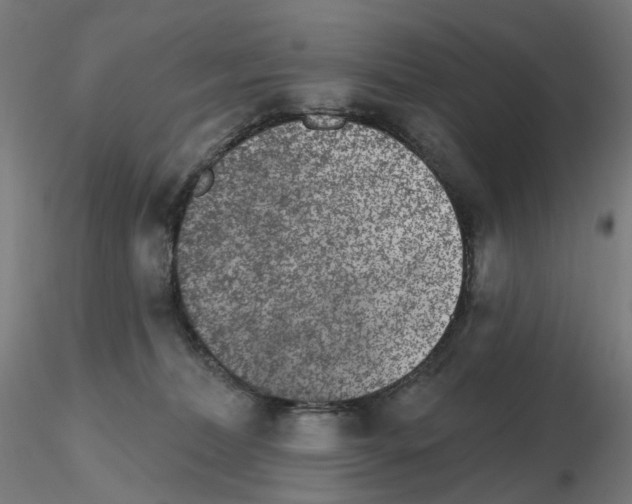 X0000115650228200912221338