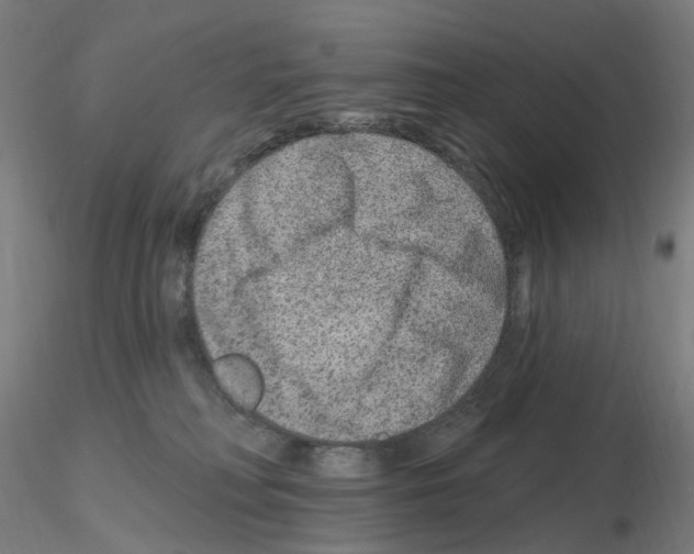 X0000115650230200912221338