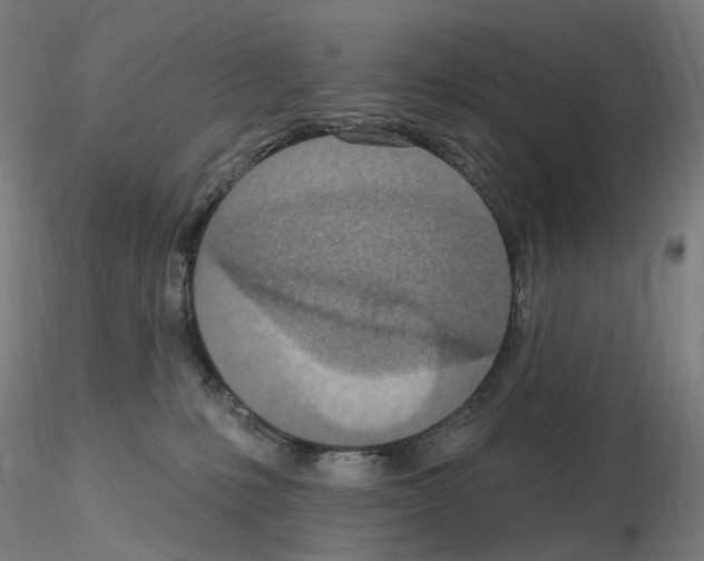 X0000115650231200912221337