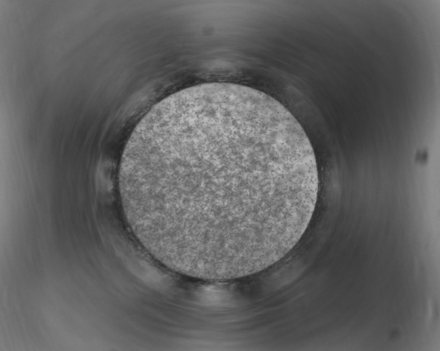 X0000115650232200912221337