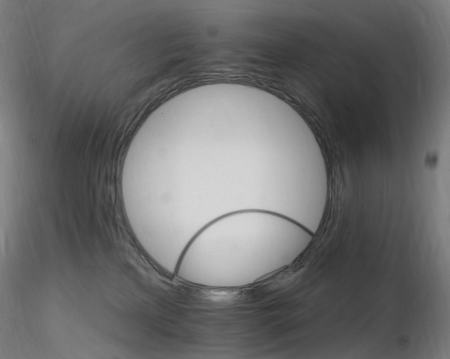 X0000115650233200912221337