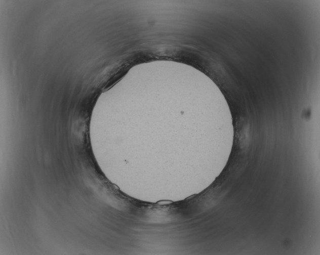 X0000115650235200912221337