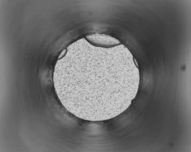 X0000115650236200912221337