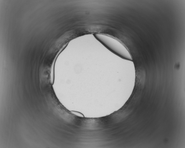 X0000115650237200912221337