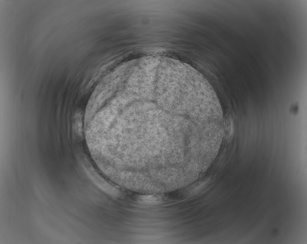 X0000115650238200912221337
