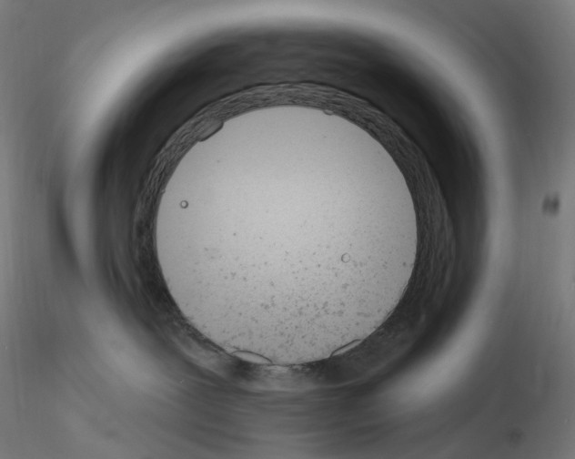 X0000115650239200912221337