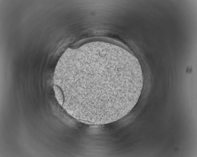 X0000115650240200912221337