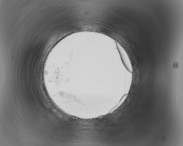X0000115650241200912221337