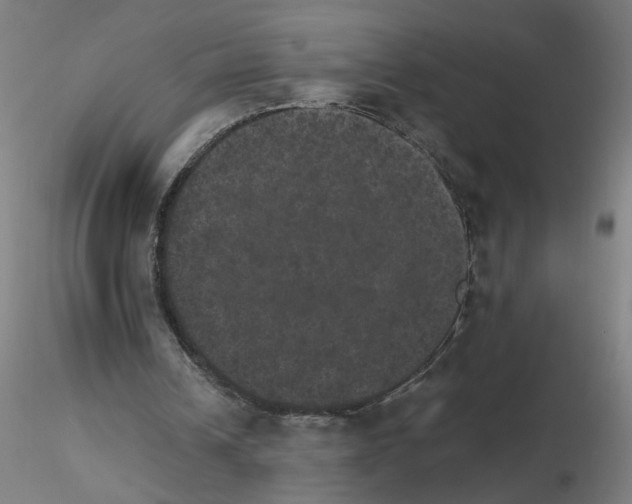 X0000115650242200912221337