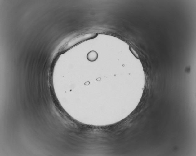 X0000115650244200912221337