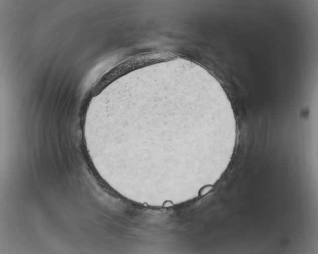 X0000115650245200912221337