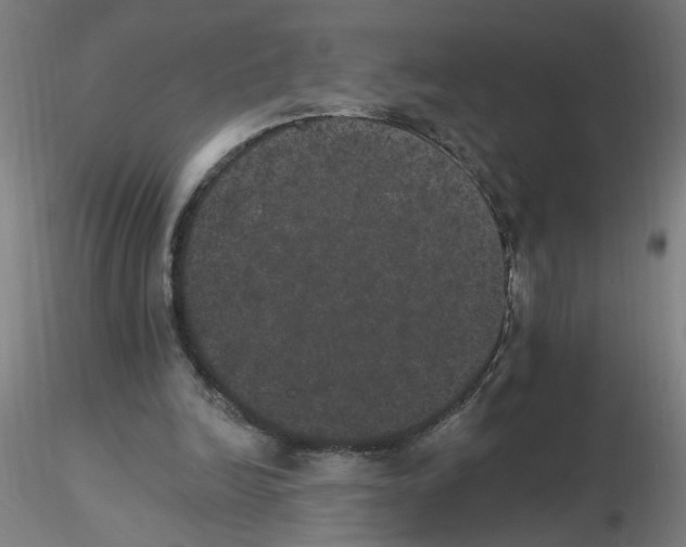 X0000115650246200912221337