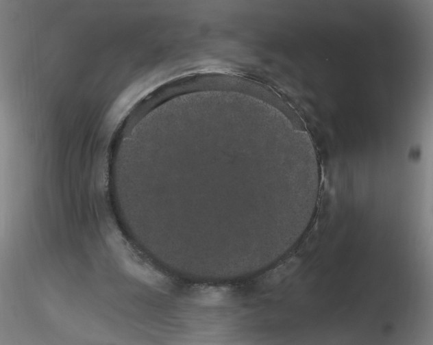 X0000115650247200912221337